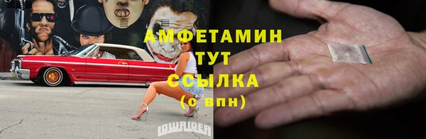 молекула духа Михайлов