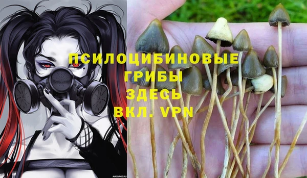 ALPHA PVP Беломорск