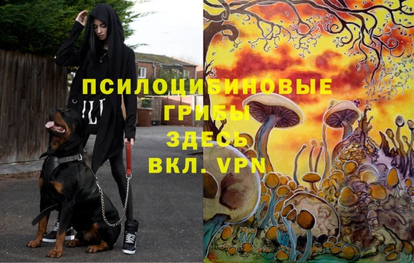 apvp Белоозёрский