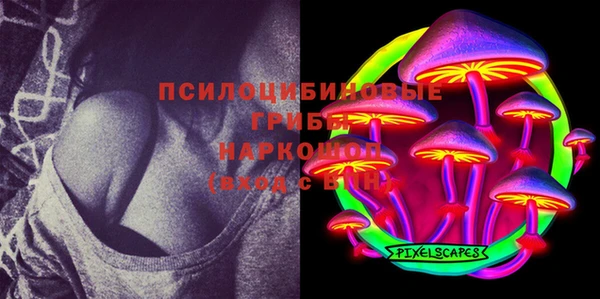 mix Белокуриха