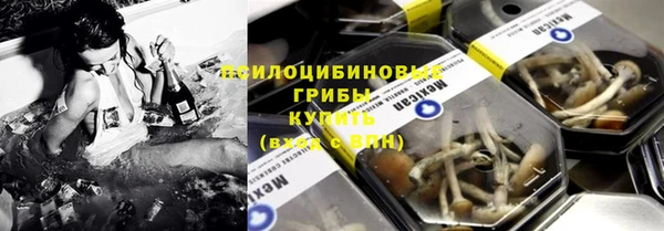 mix Белокуриха